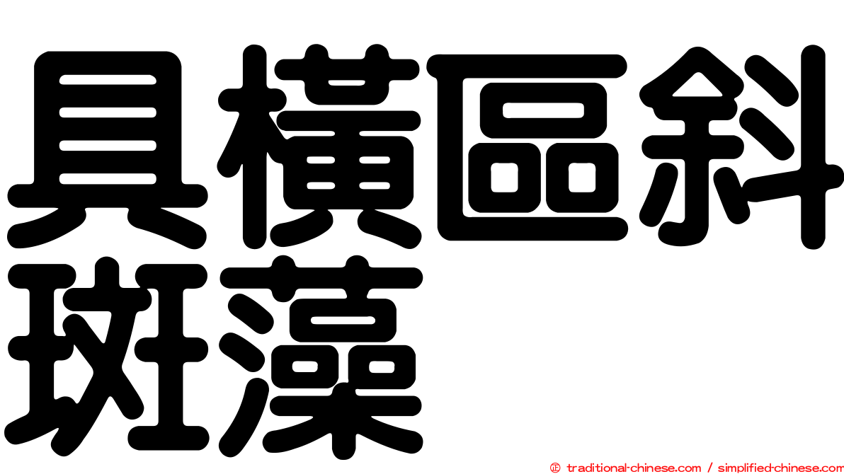 具橫區斜斑藻
