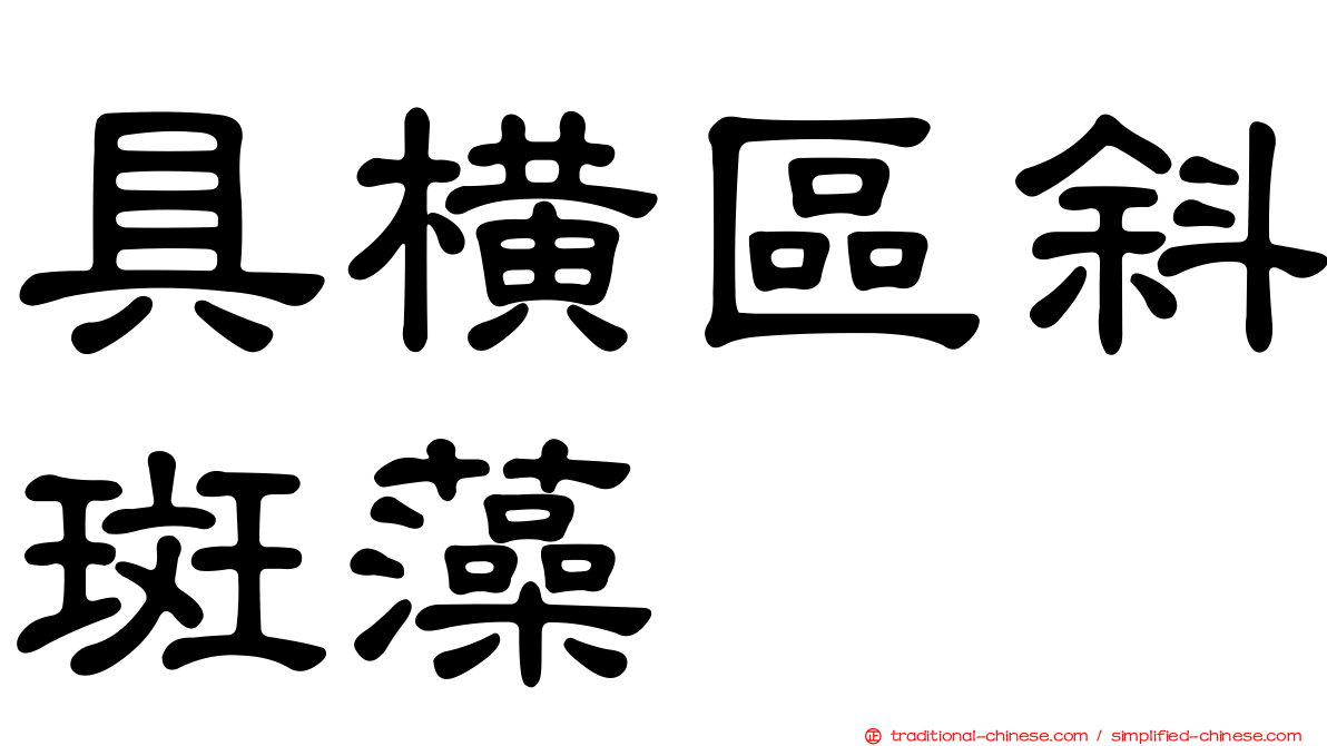 具橫區斜斑藻