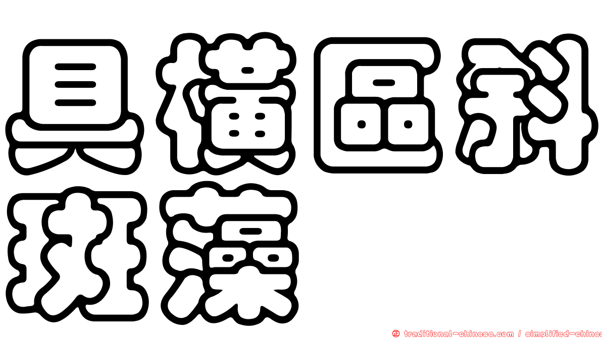 具橫區斜斑藻