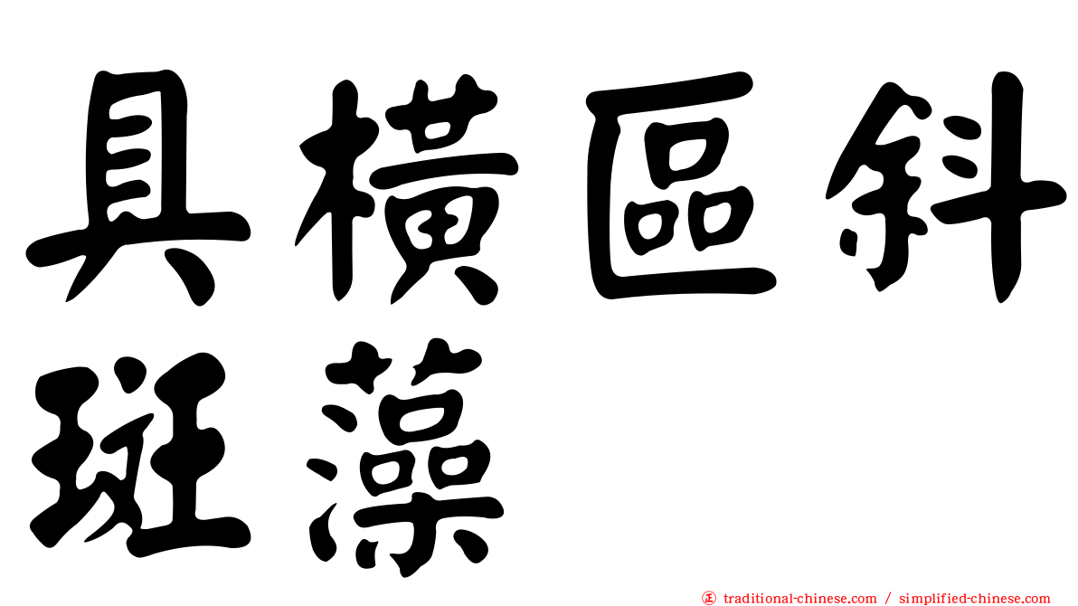 具橫區斜斑藻