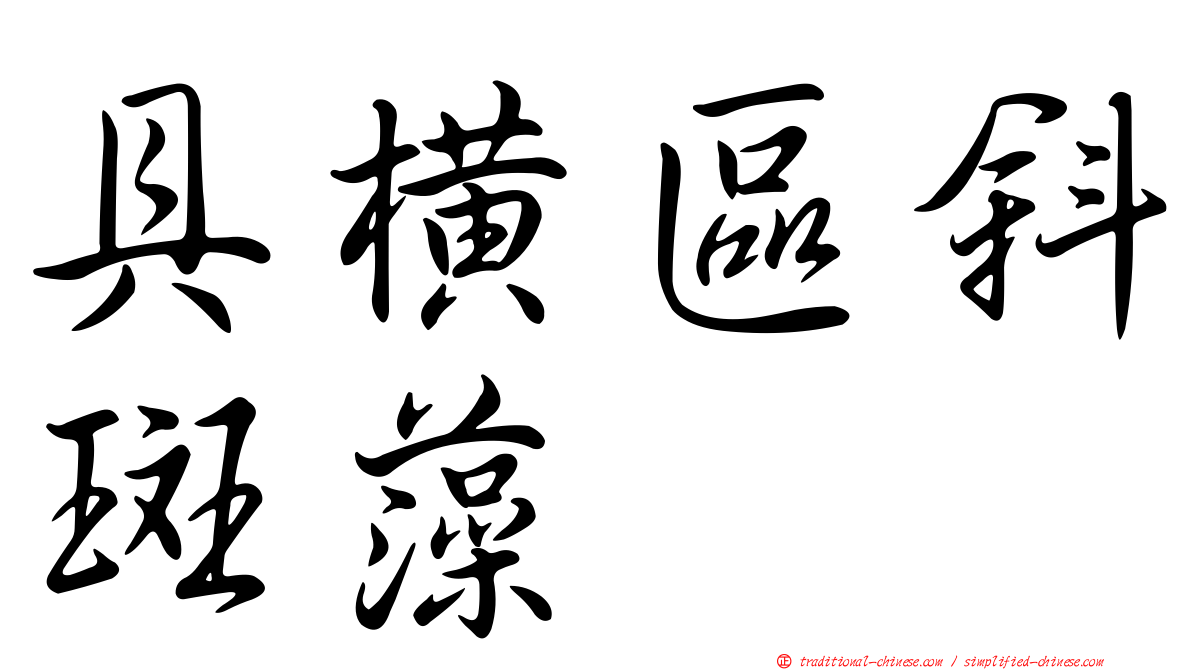 具橫區斜斑藻