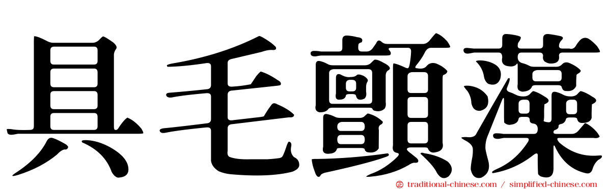 具毛顫藻