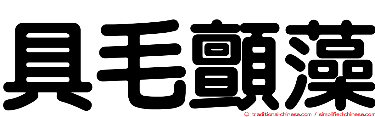 具毛顫藻