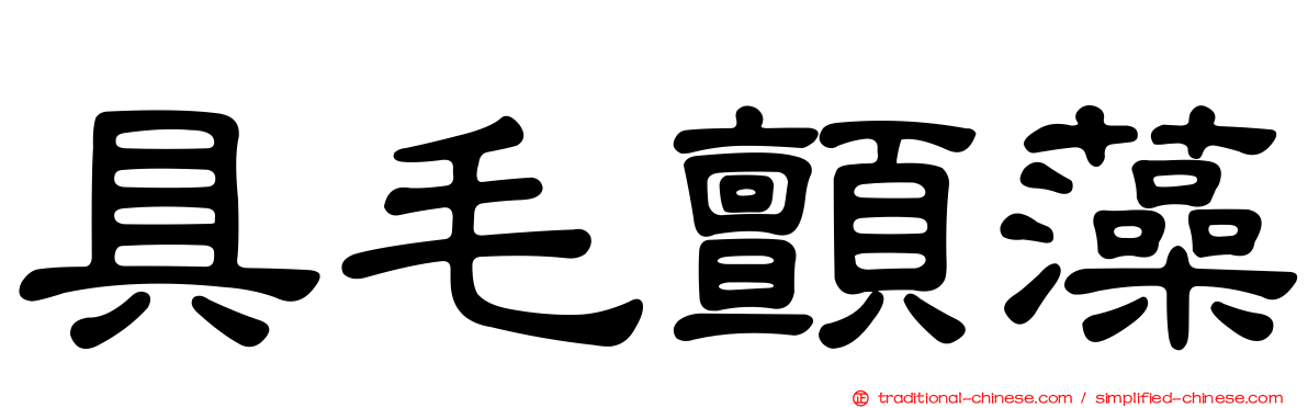 具毛顫藻