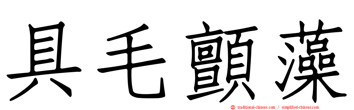 具毛顫藻