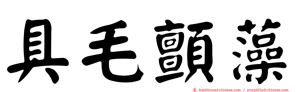 具毛顫藻