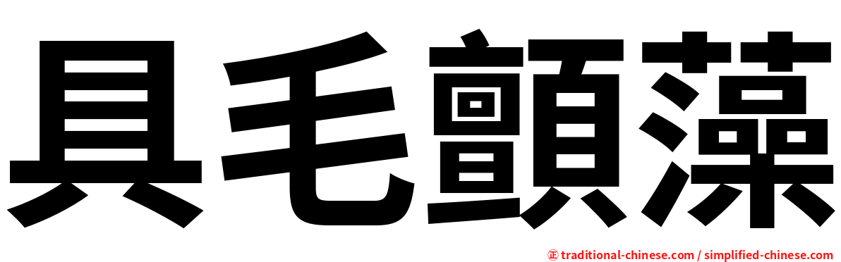 具毛顫藻