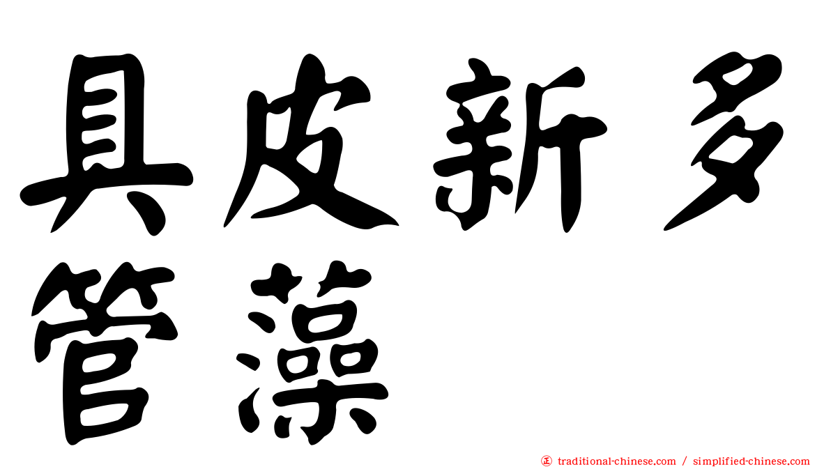 具皮新多管藻