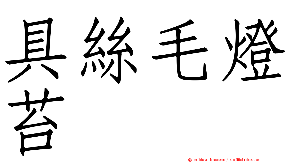 具絲毛燈苔