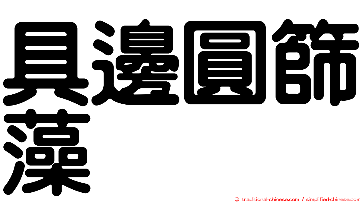 具邊圓篩藻