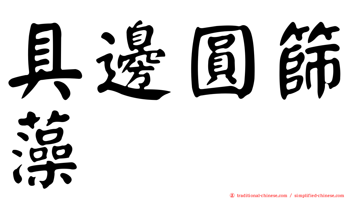具邊圓篩藻