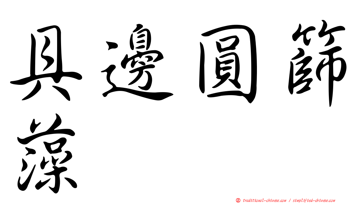 具邊圓篩藻