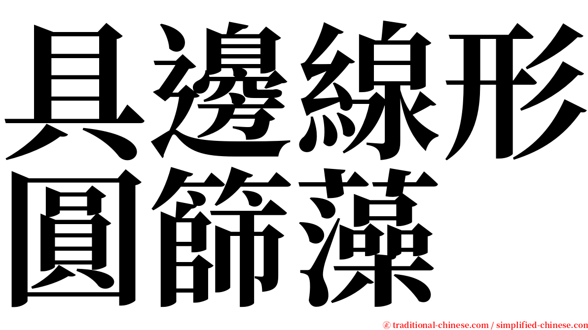 具邊線形圓篩藻 serif font