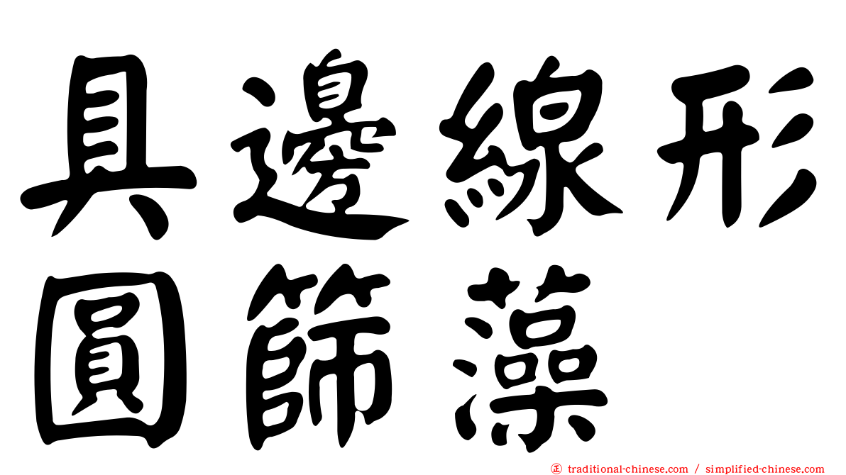 具邊線形圓篩藻