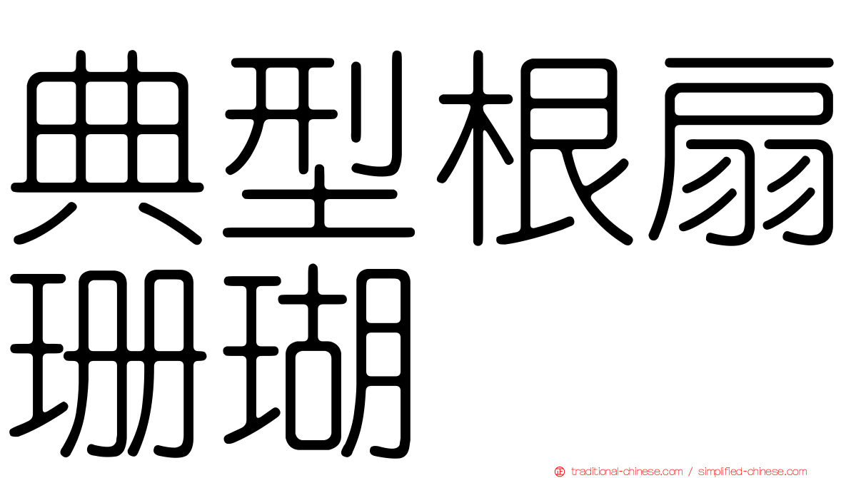 典型根扇珊瑚
