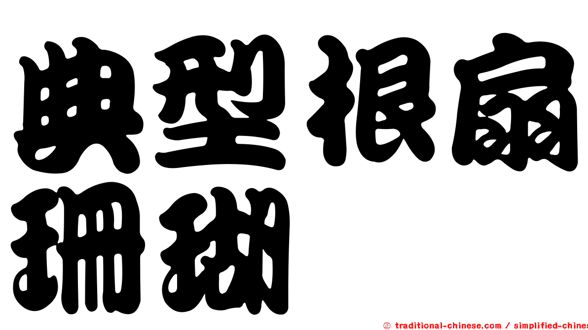 典型根扇珊瑚