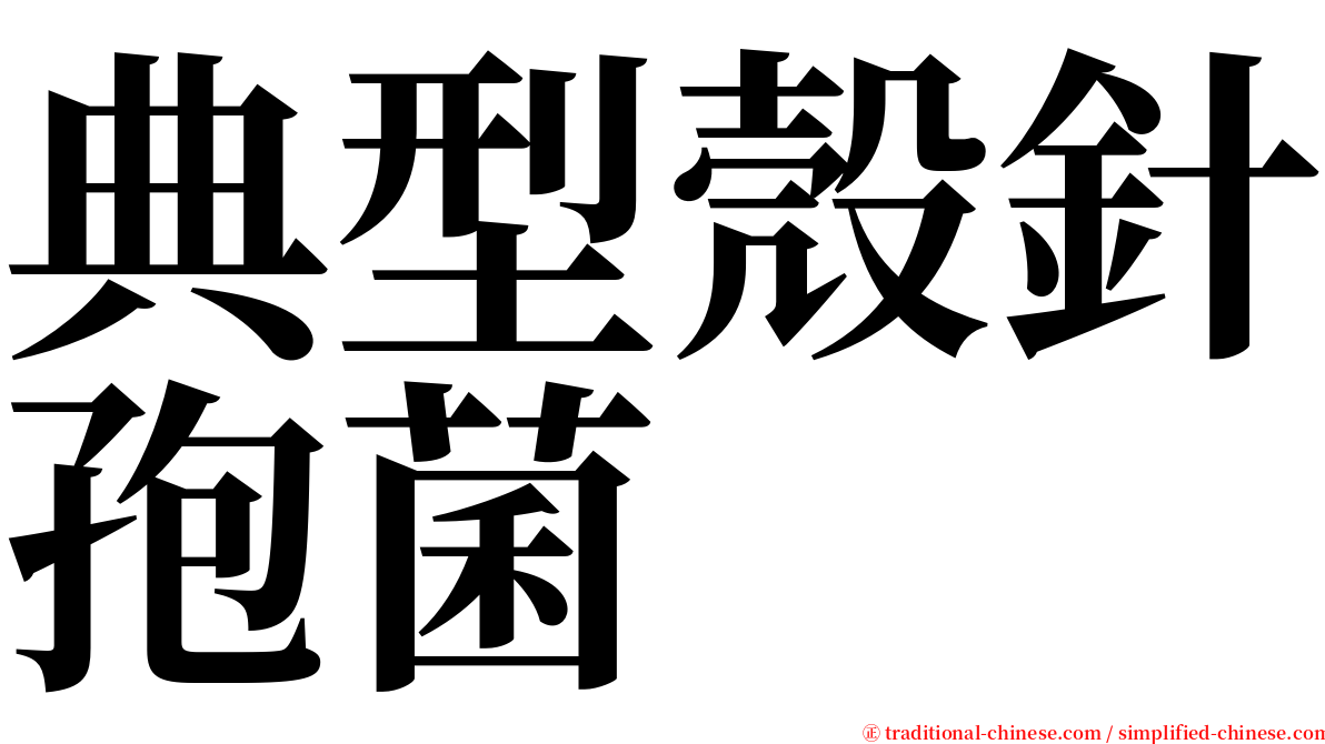 典型殼針孢菌 serif font