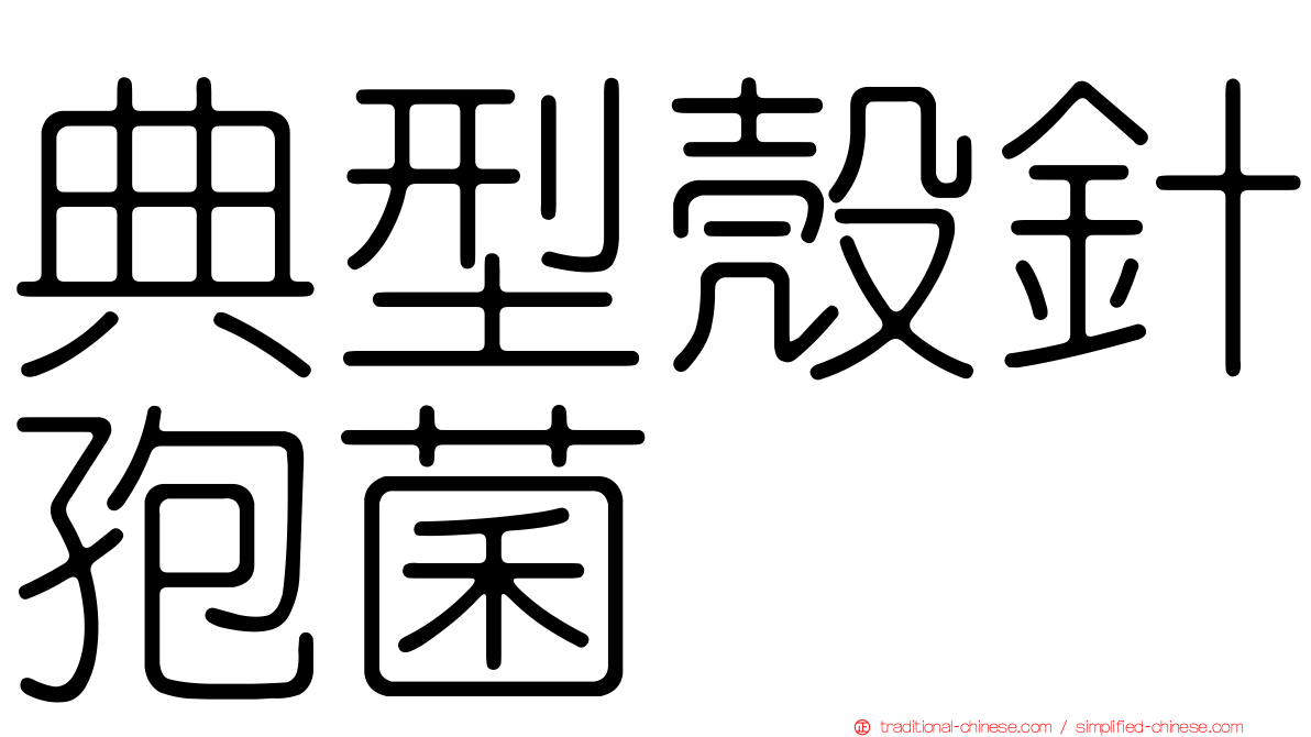 典型殼針孢菌