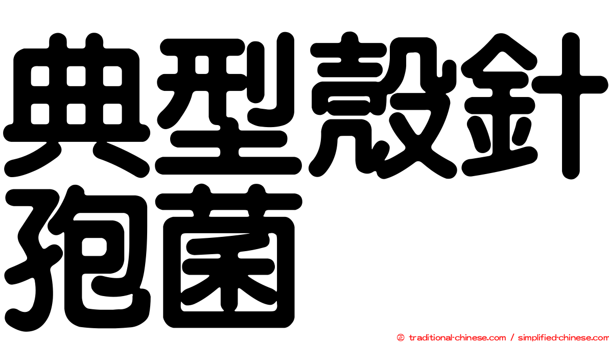 典型殼針孢菌