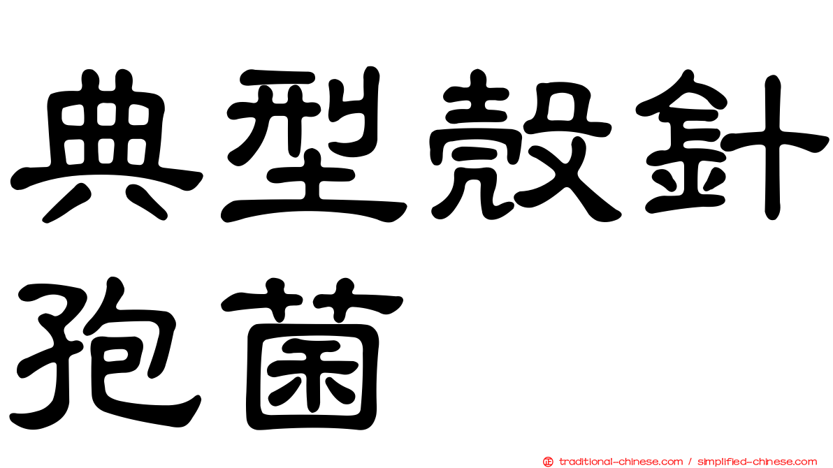 典型殼針孢菌