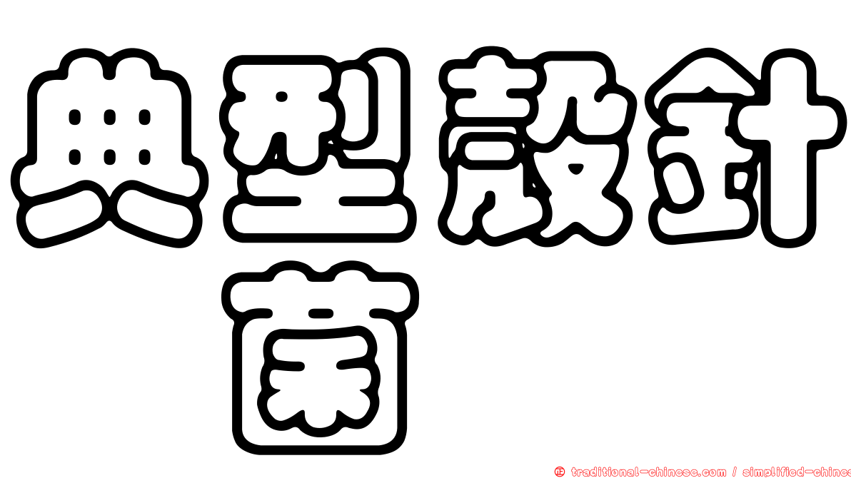 典型殼針孢菌