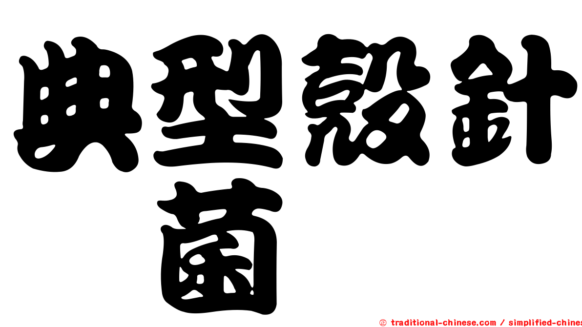 典型殼針孢菌