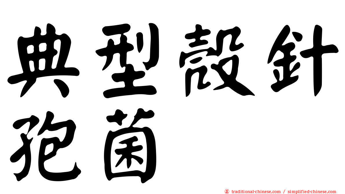 典型殼針孢菌