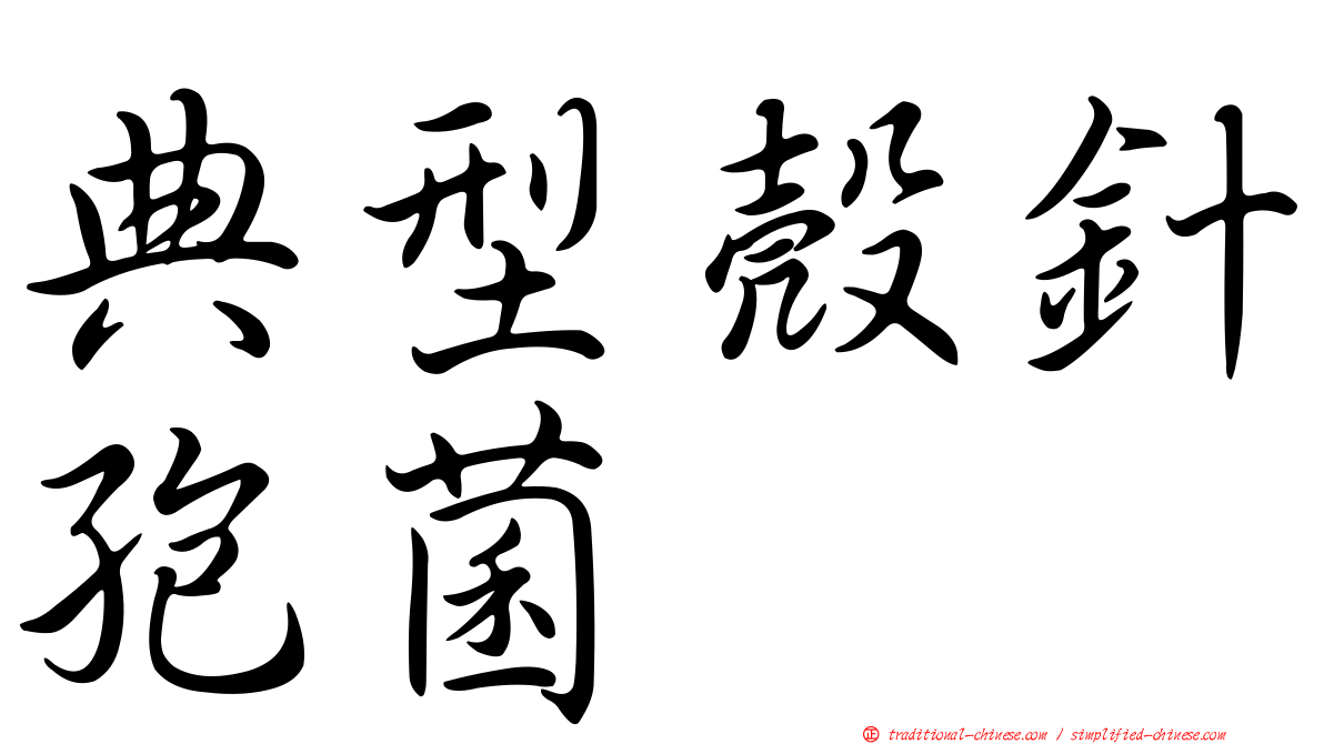 典型殼針孢菌