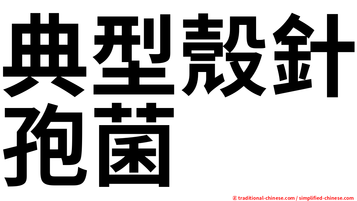 典型殼針孢菌
