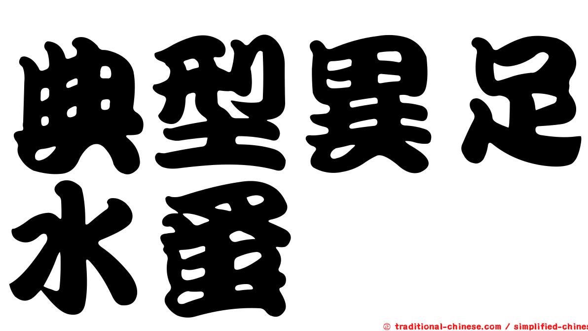 典型異足水蚤