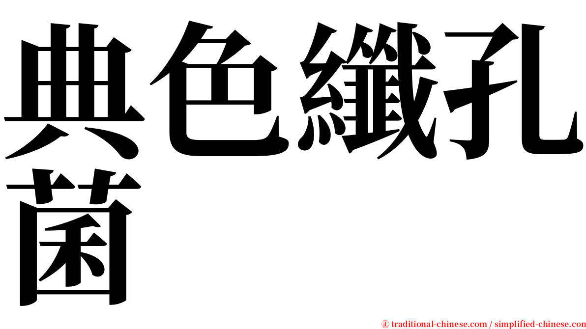 典色纖孔菌 serif font