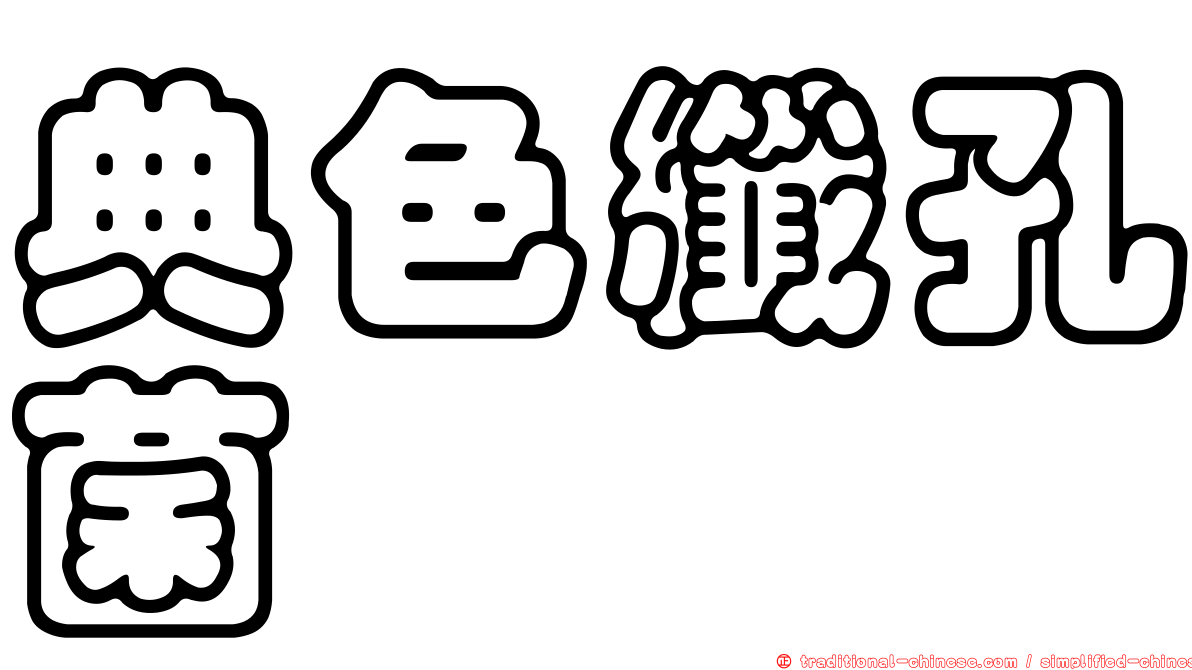 典色纖孔菌