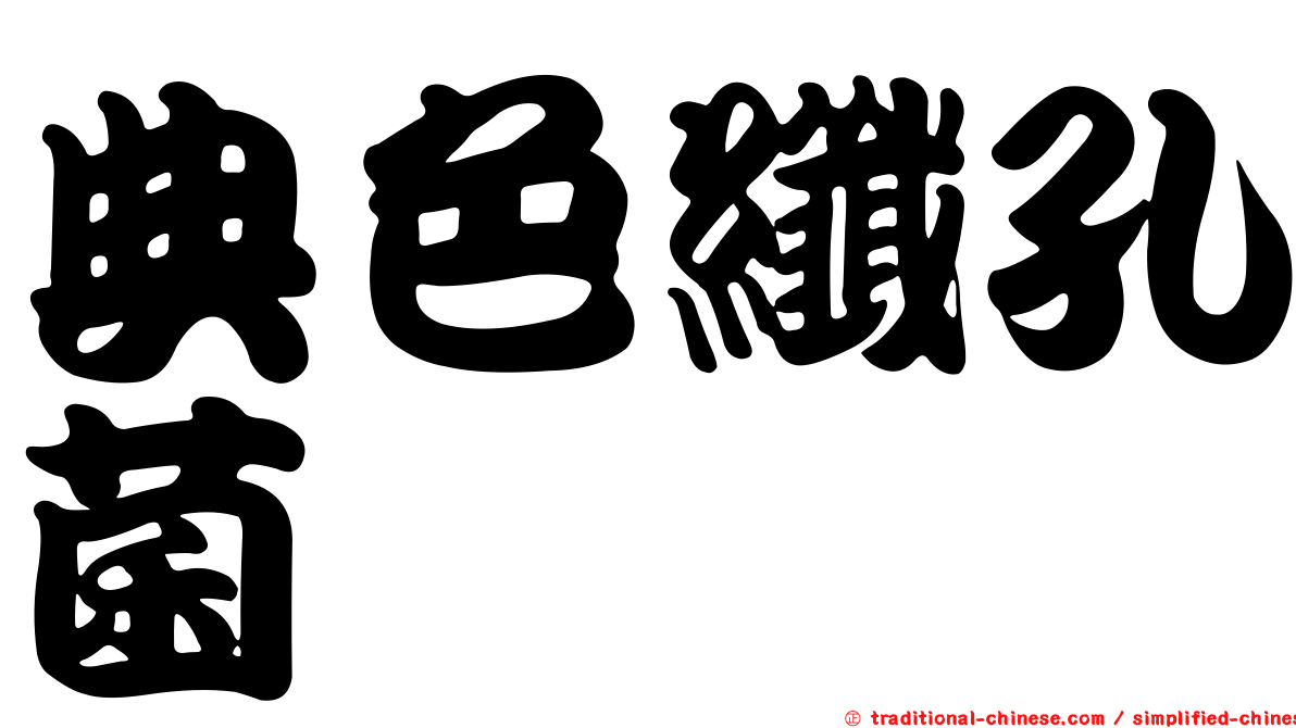 典色纖孔菌