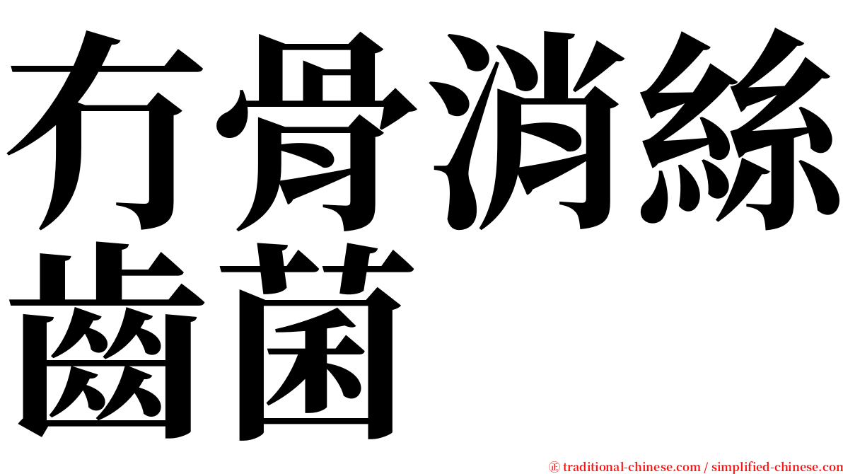 冇骨消絲齒菌 serif font