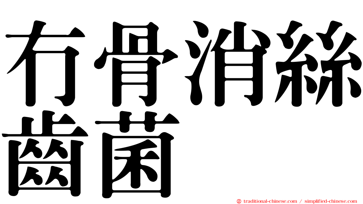 冇骨消絲齒菌