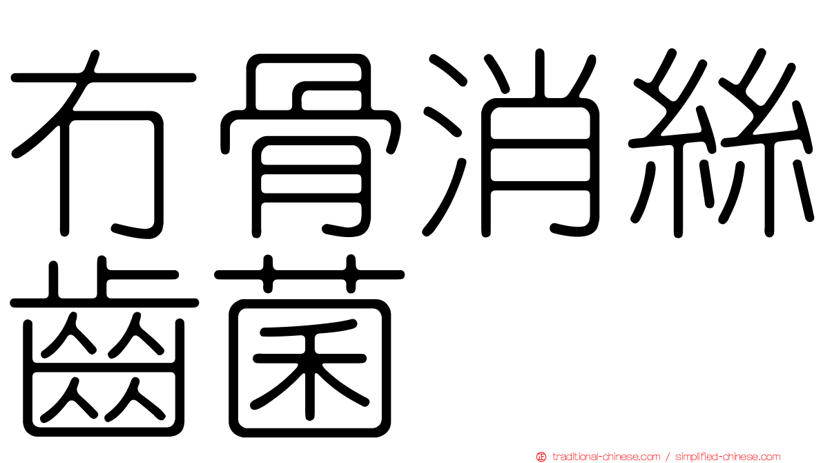冇骨消絲齒菌