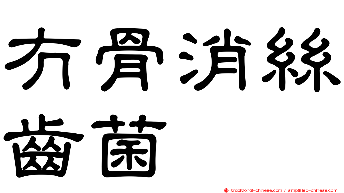 冇骨消絲齒菌