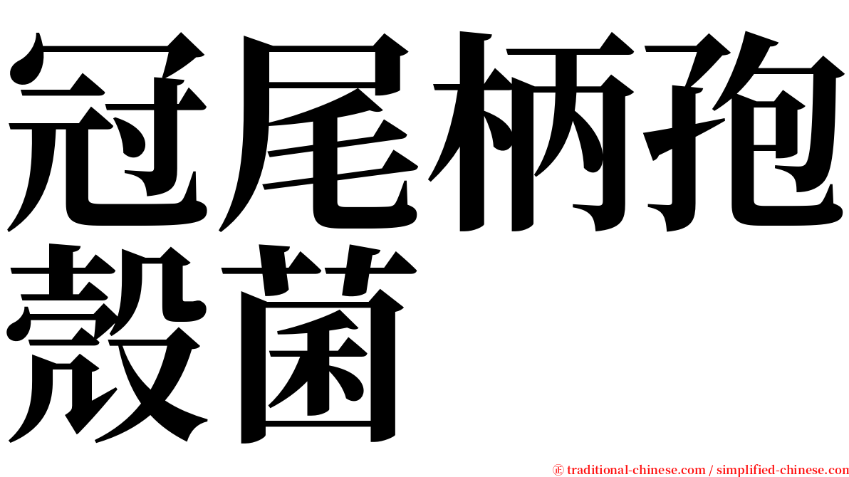 冠尾柄孢殼菌 serif font