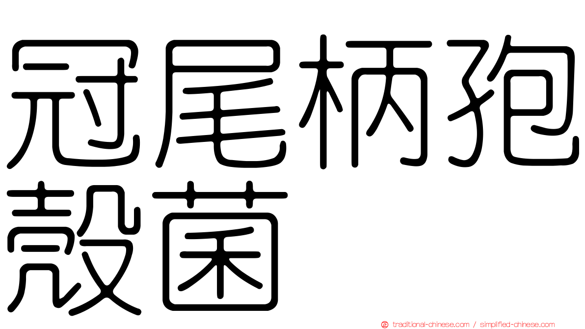 冠尾柄孢殼菌