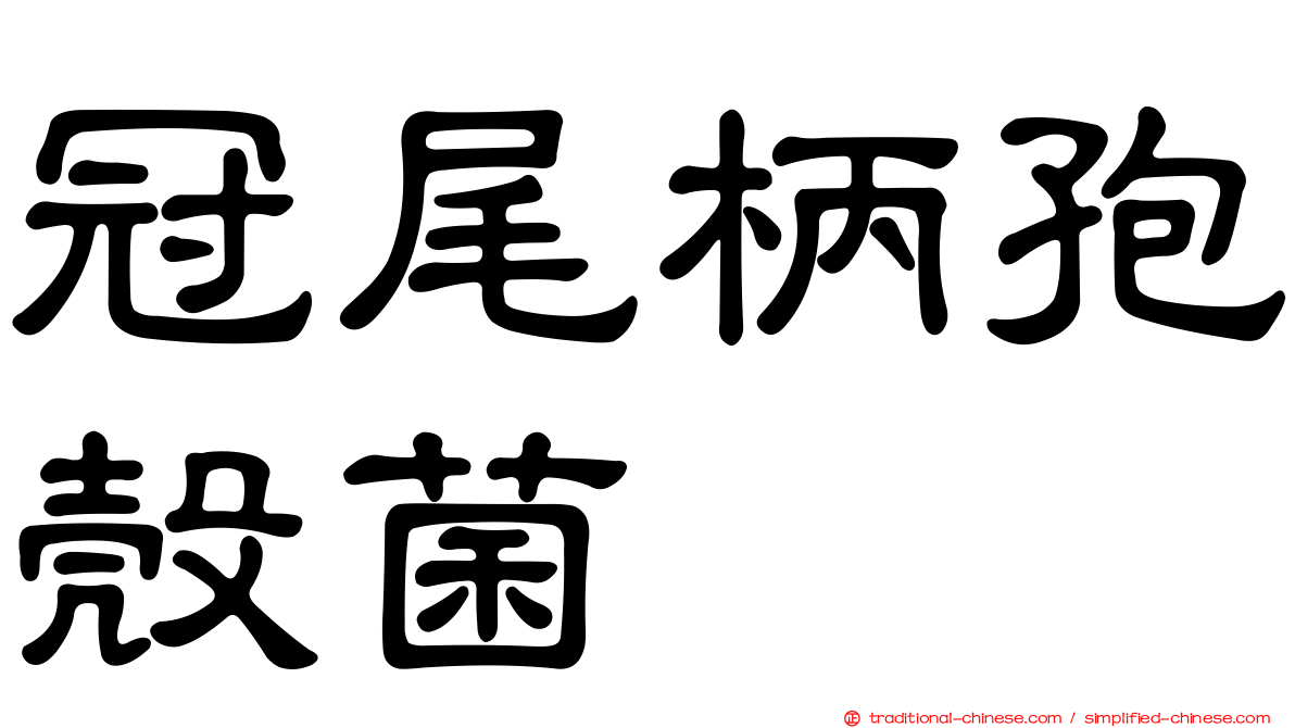 冠尾柄孢殼菌