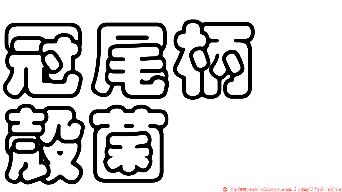 冠尾柄孢殼菌