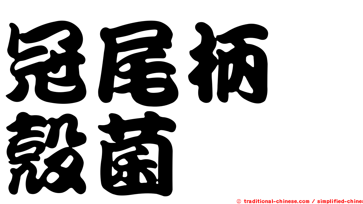 冠尾柄孢殼菌