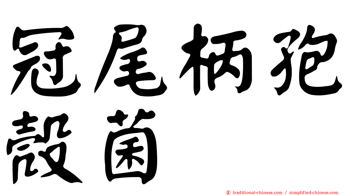 冠尾柄孢殼菌