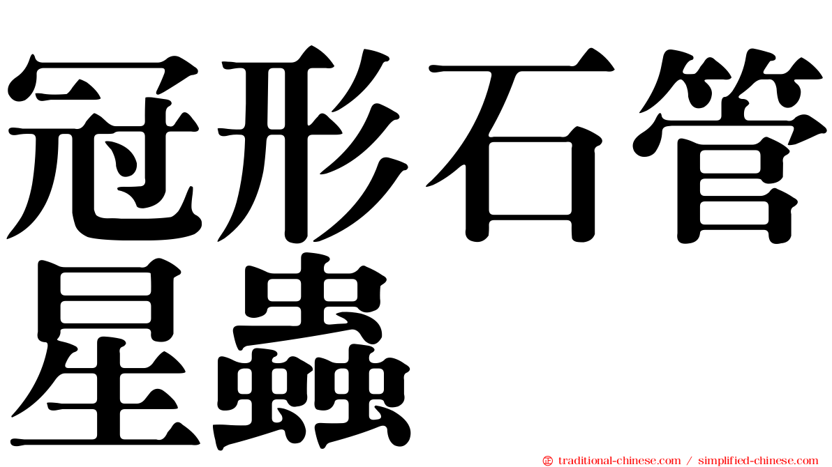 冠形石管星蟲