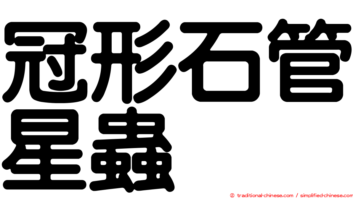 冠形石管星蟲