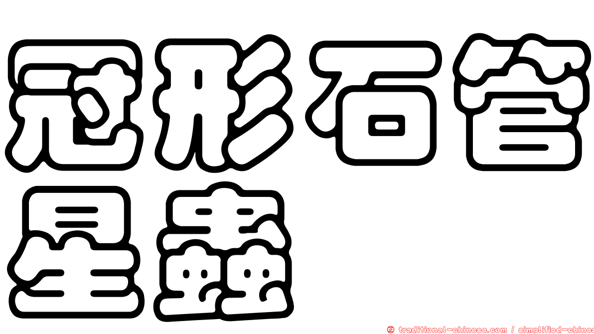 冠形石管星蟲