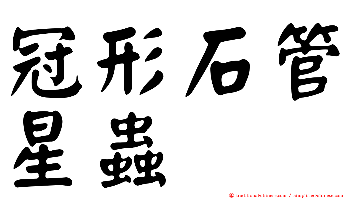 冠形石管星蟲