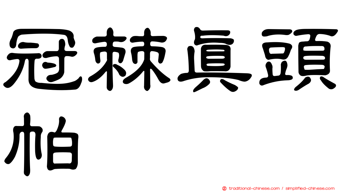 冠棘真頭帕
