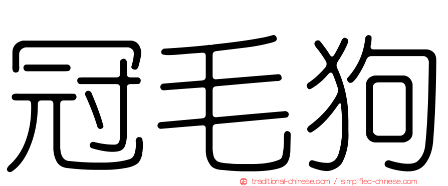 冠毛狗