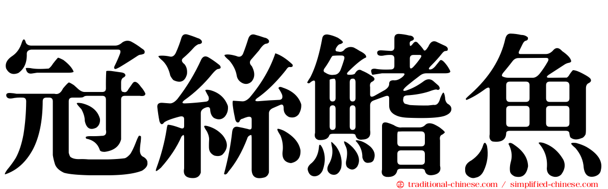 冠絲鰭魚